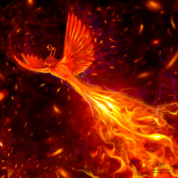 Фото Феникс летит на фоне ночного неба (immortal flames / бессмертный огонь), художник amorphisss