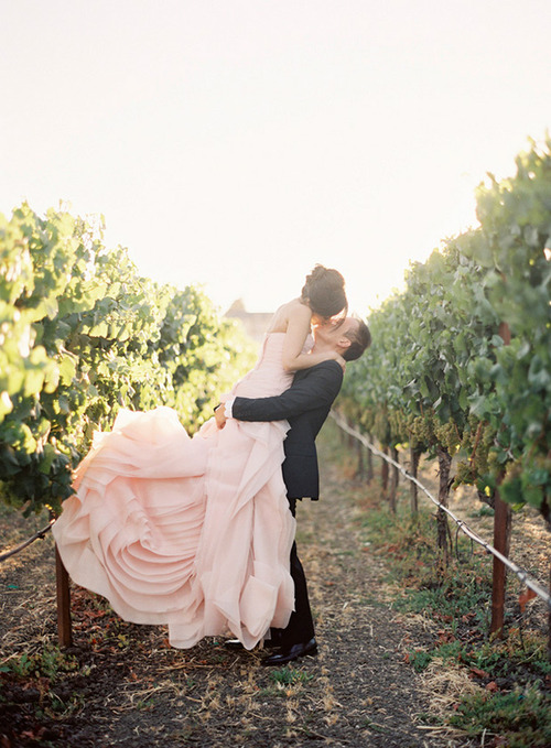 Фото Жених и невеста в розовом платье, целуются на виноградной плантации
