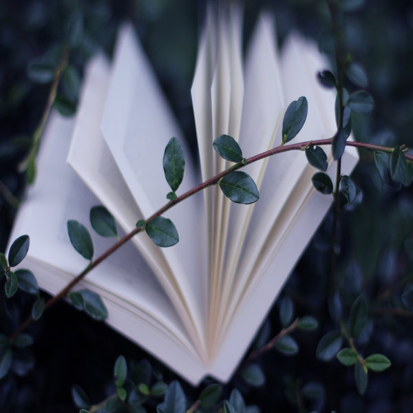 Фото Открытая книга лежит в ветках с зелеными листьями, фотограф под ником sternenfern