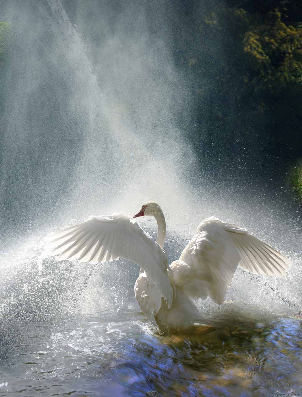 Фотохудожник Игорь Зенин Фото