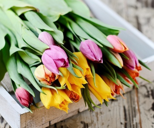 Фото Разноцветные тюльпаны уложенные в деревянный ящик