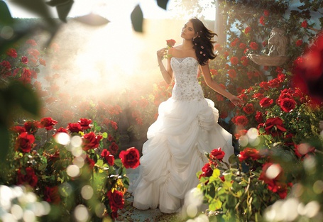 Belle Alfred Angelo Disney Fairytale Wedding Dresses