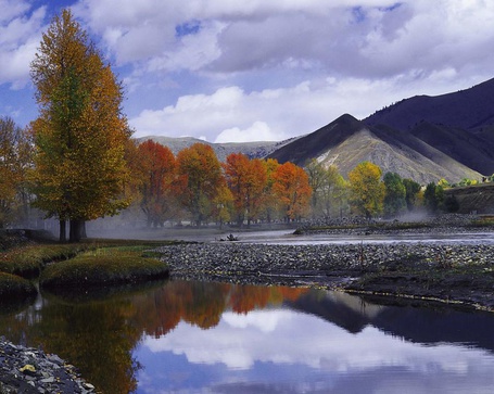 Фото Ряд осенних деревьев по берегу реки, вдали горы, над которыми огромные белые облака