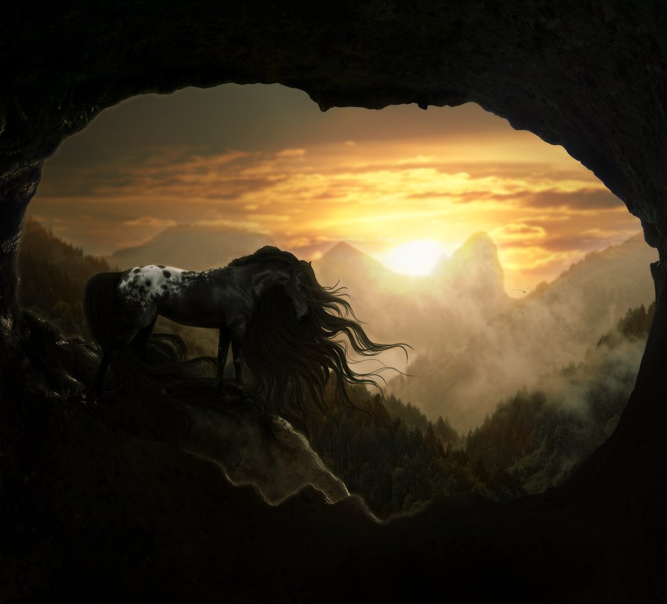Фото Пятнистая лошадь на фоне заката в горном ущелье, автор lunarblues