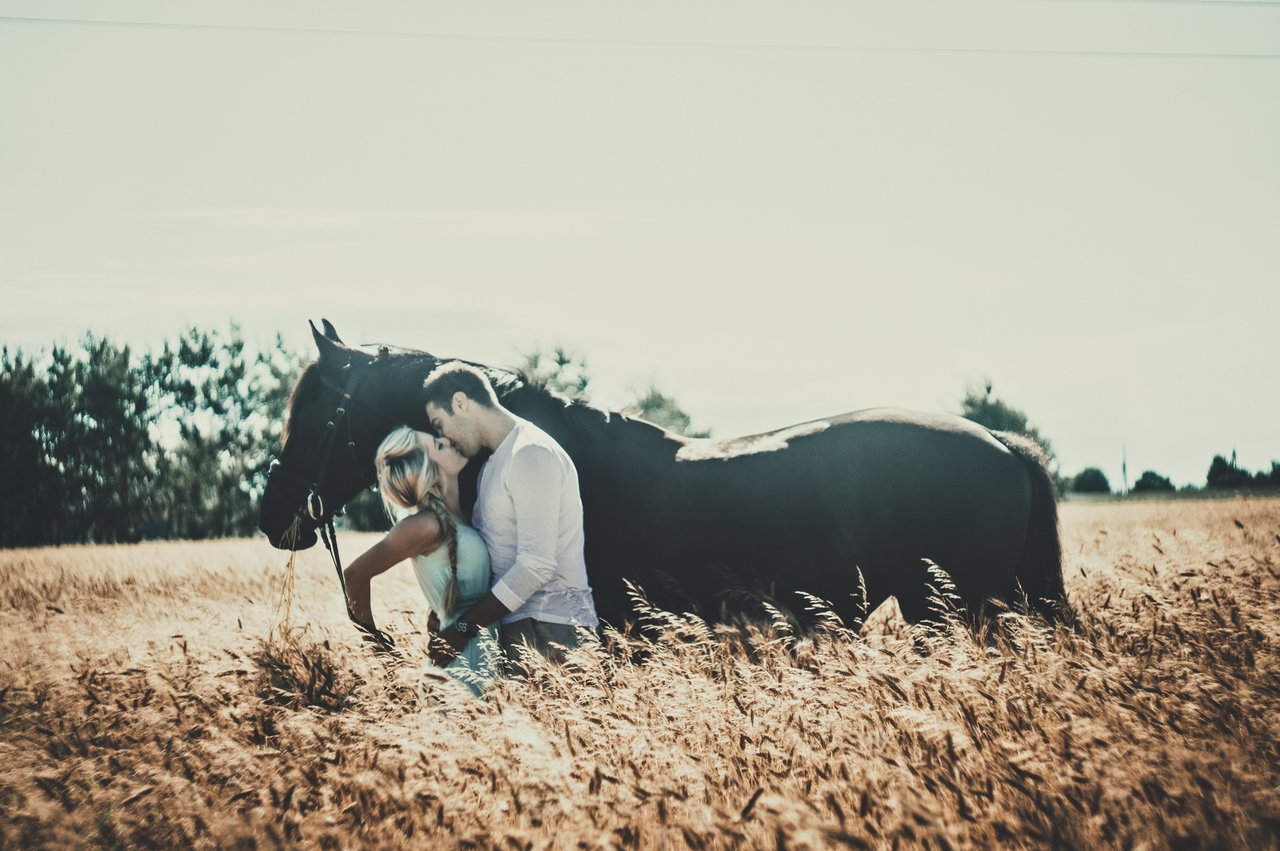 Фото Monika and Patryk / Моника и Патрик, целуются возле лошади, фотограф Magdalena Cichecka