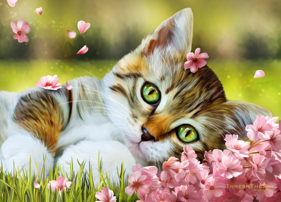 Котики с надписью приветик, свиньями 2019 картинки