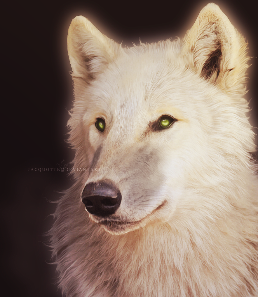 Фото Белый волк с зелеными глазами иллюстратор raqinq страница. 