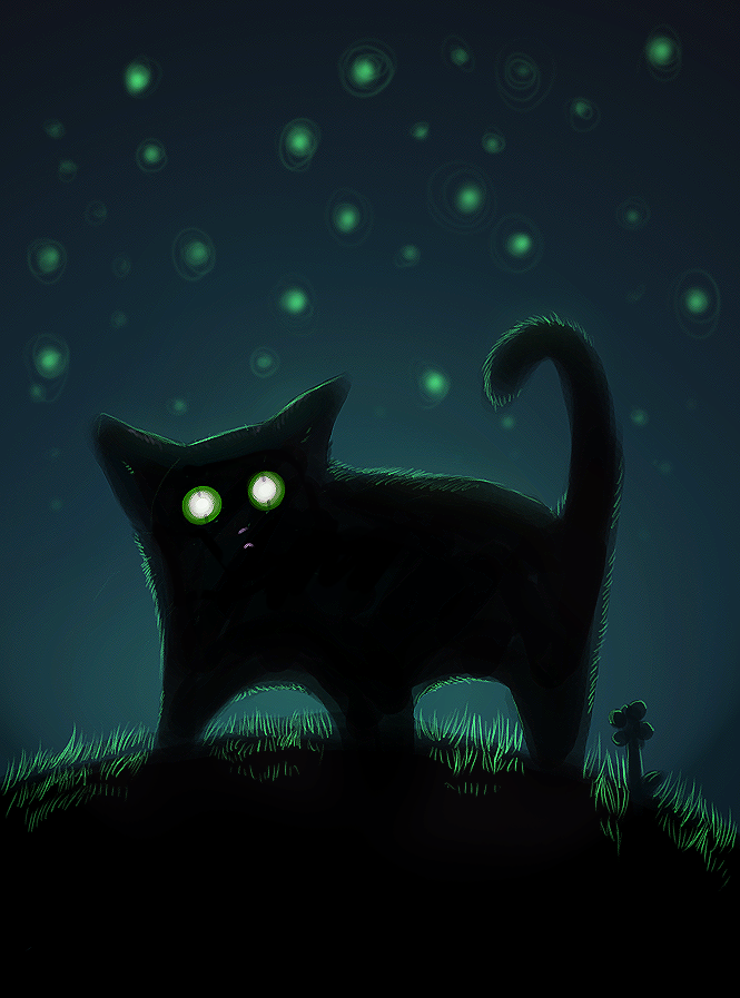 Кот ночью. Глаза кошки ночью. Кот со светящимися глазами. Кошка в темноте.