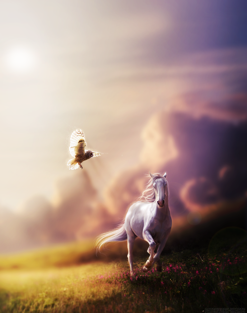 Небо на кону. Лошадь в поле. Лошадь бежит. Небесные лошади. Белый конь в поле.
