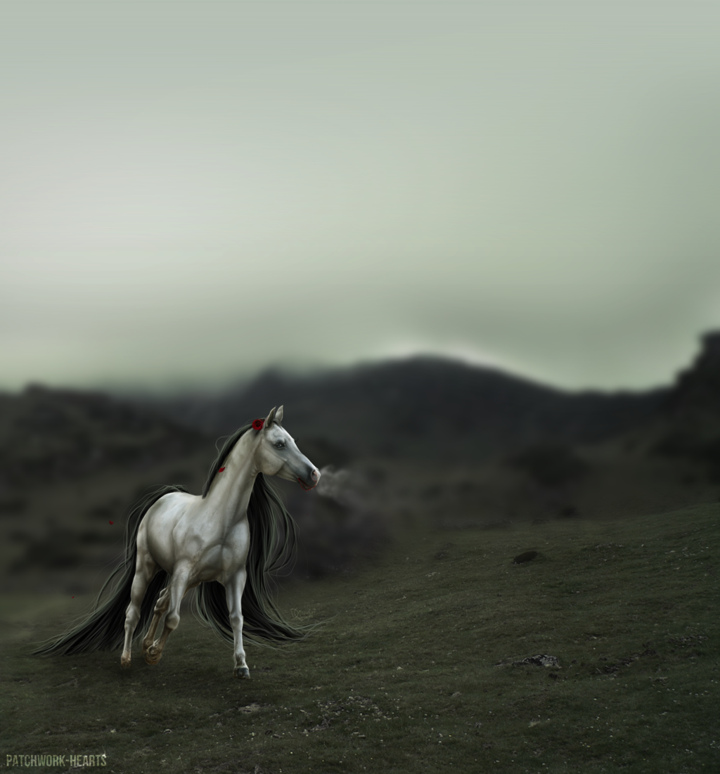 Фото Лошадь, с длинным черным хвостом и гривой в которой красная роза, бежит по полю, автор Patchwork-Hearts