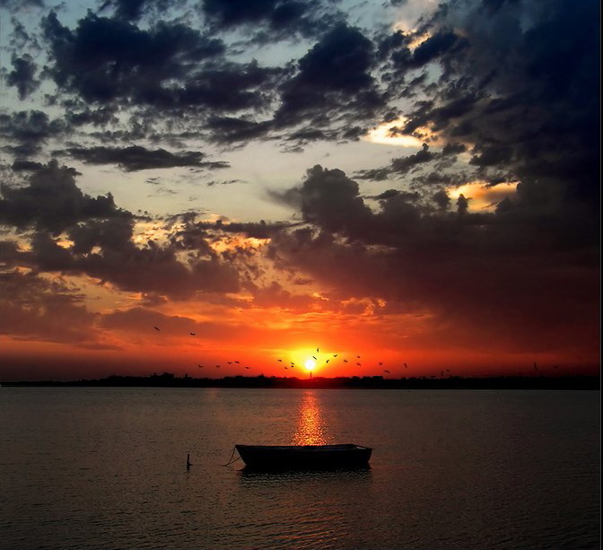 Фото Лодка, стоящая в море невдалеке от берега, на фоне заката солнца и парящих в воздухе птиц