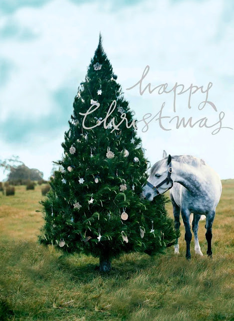 Фото Лошадь стоит возле новогодней елки в поле (Happy Christmas / Счастливого рождества)