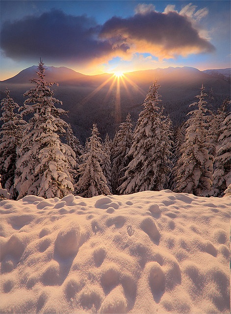 Фото Рассвет над зимним лесом, появление солнца из-за гор