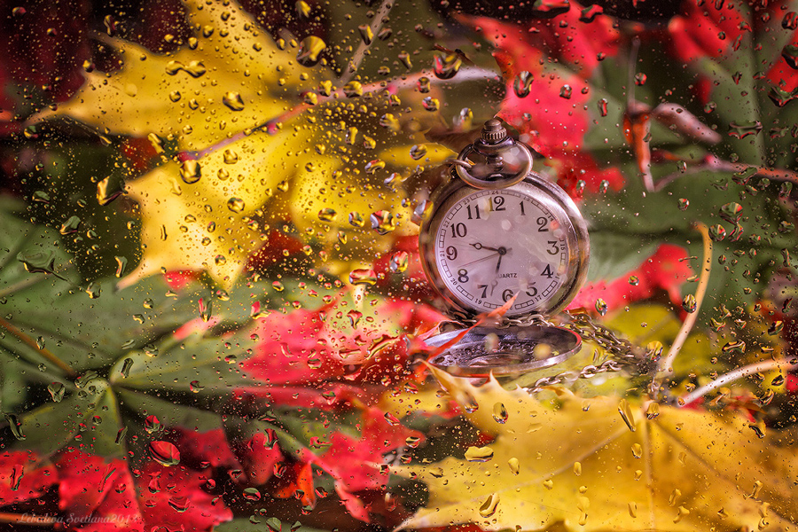 Часы стоят в лесу среди золотых осенних листьев. концепция - осенняя пора | Премиум Фото