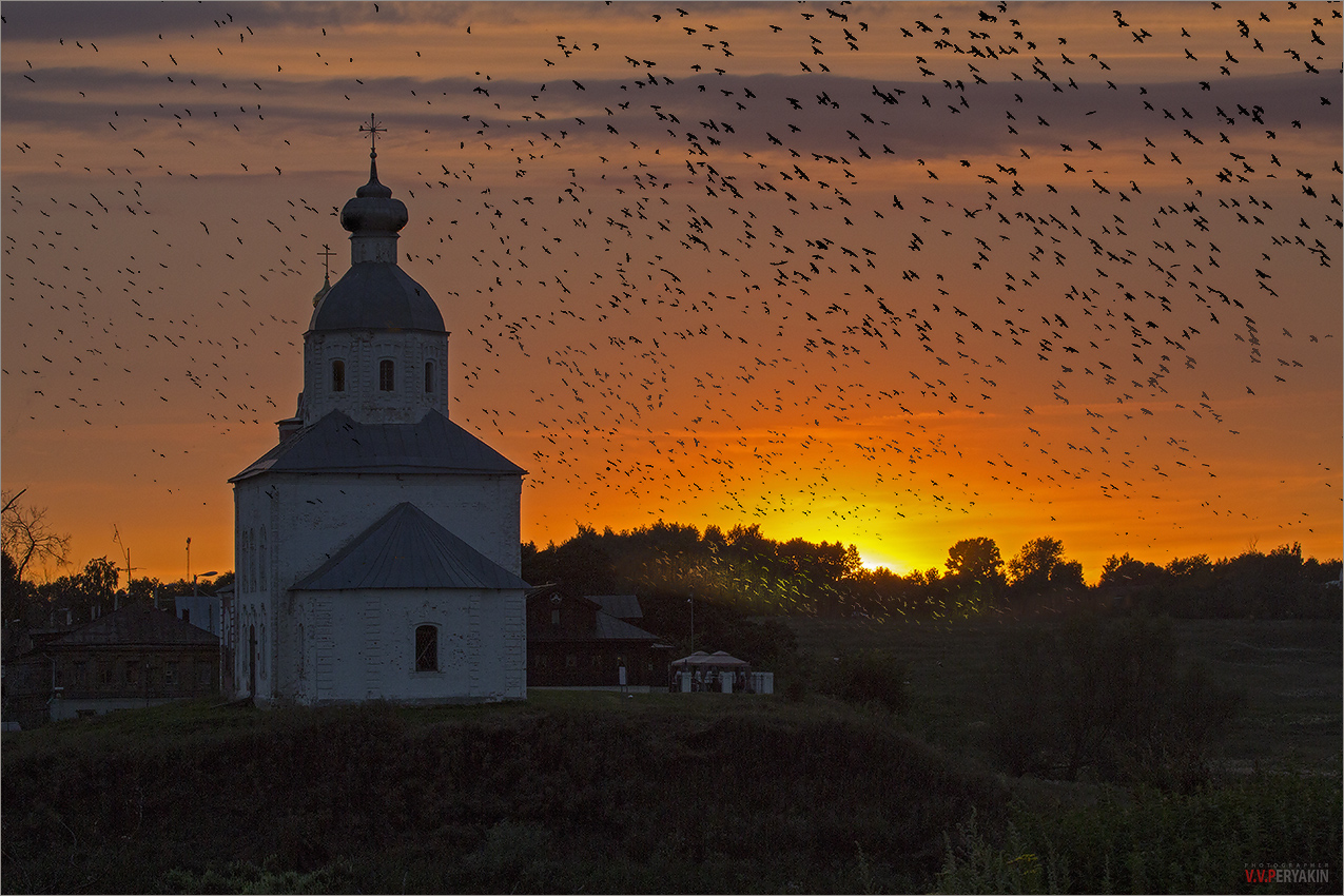 Фото Каменная церковь и стоящие рядом деревянные дома, расположенные на  пригорке на фоне красивого заката солнца и огромного количества птиц,  парящих в вечернем небе, автор Виктор Перякин