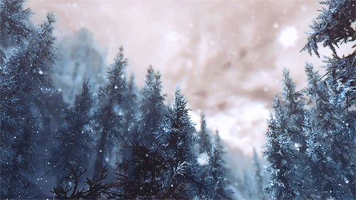  Снегопад на фоне леса