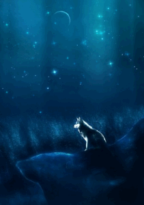 Фото Волк на фоне звездного неба