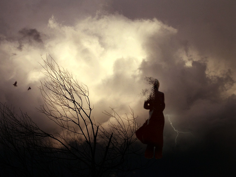Фото Девушка превращается в дым, стоя в поле, среди голых веток