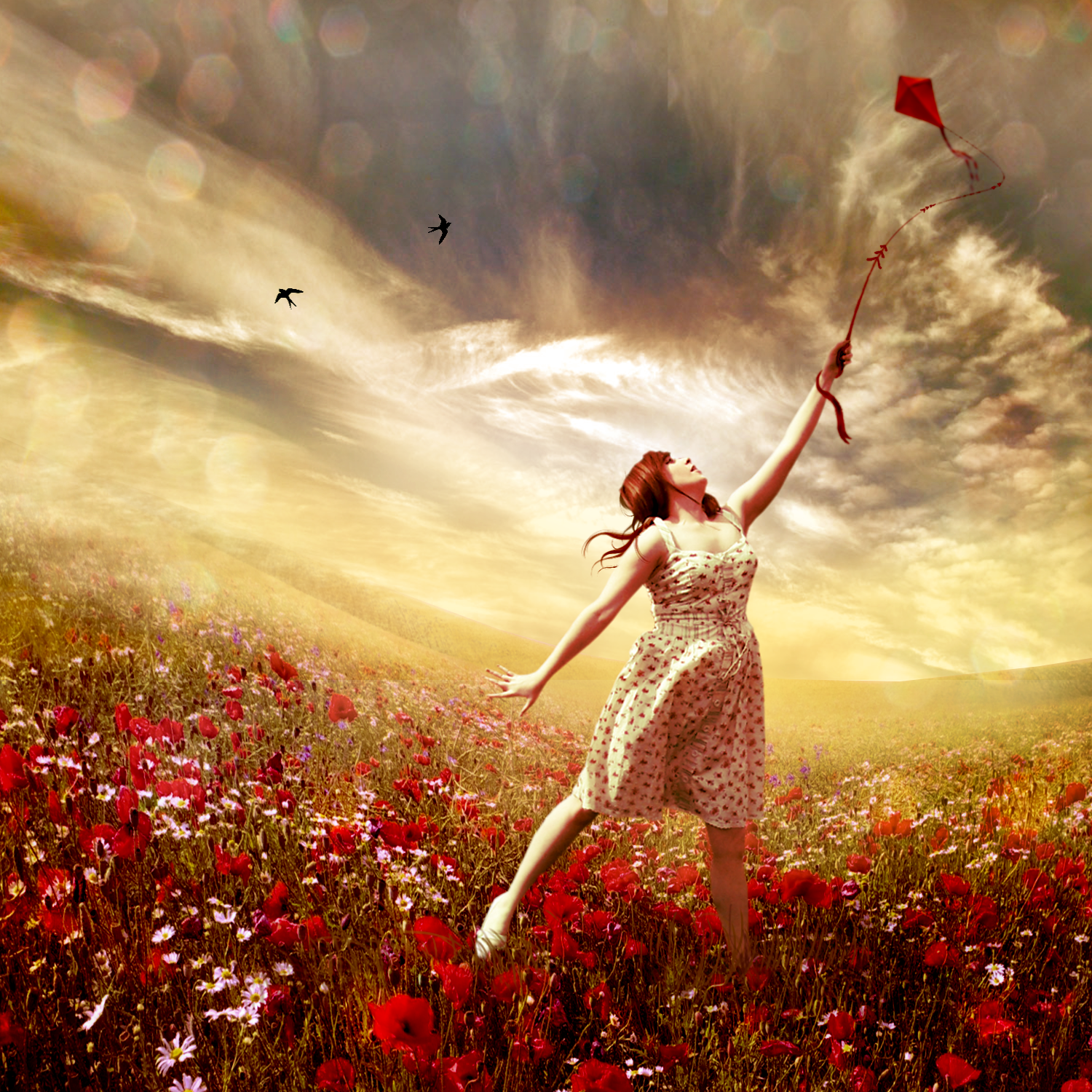 Песня бегу по краю света. Девушка в поле. Девушка бежит по полю. Женщина на ветру. Фотосессия с воздушным змеем в поле.