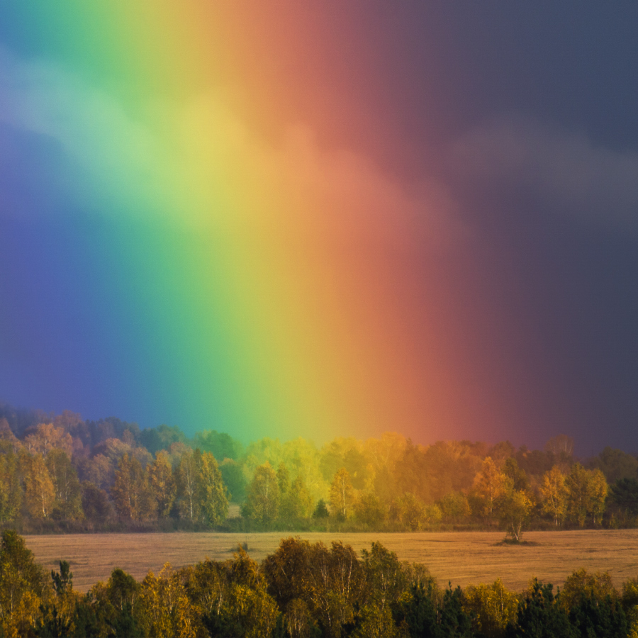 Фото Необычная, красивая радуга, появившаяся в небе после прошедшего дождя над полем, окруженном лесопосадками, автор Антон Франчук