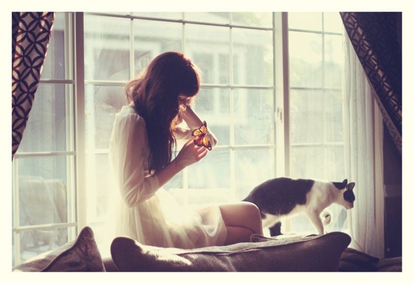 Фото Девушка с бабочкой на руке сидит у окна, рядом ее пятнистый кот