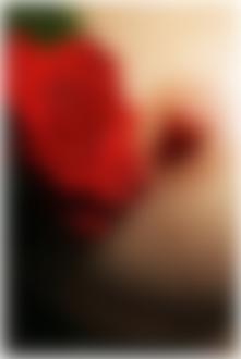 Фото Красная роза в каплях воды на груди девушки. фотограф Eugenio Bugatti