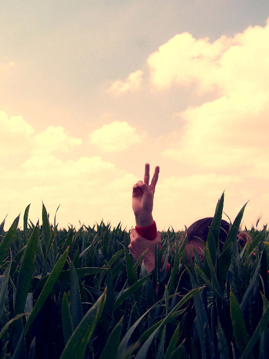 Фото Девушка сидит в траве с поднятой рукой, автор cloverpunk
