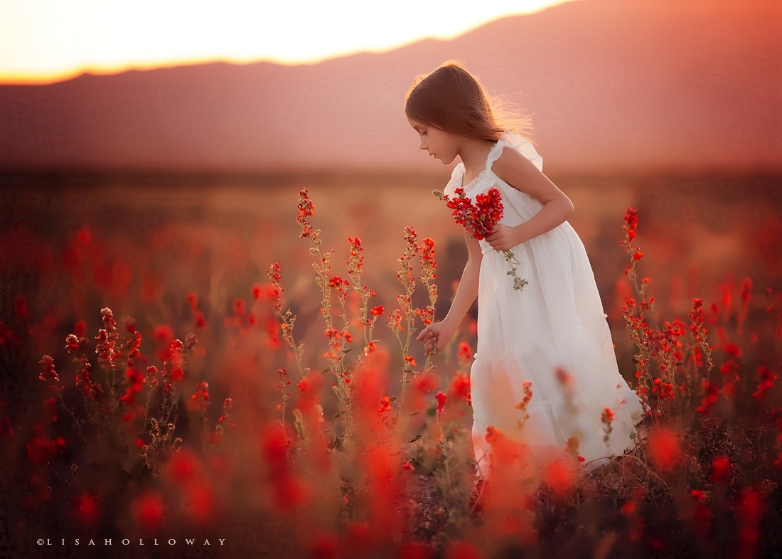 Фото Девочка в белом платье собирает цветы в поле, фотограф MelissaOosterbosch