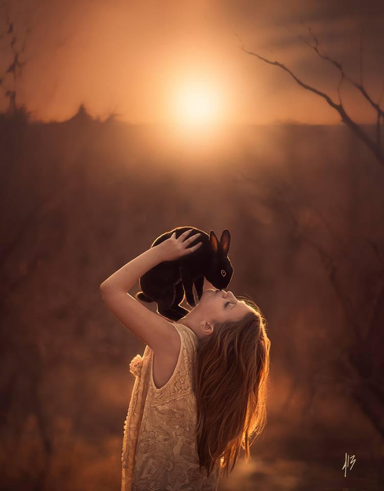 Фото Девочка с кроликом на фоне заката, фотограф Jake Olson