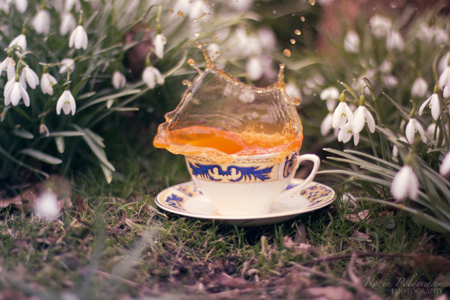 Доброе весеннее утро с чаем. Утренний чай на природе. Чай на весенней природе.