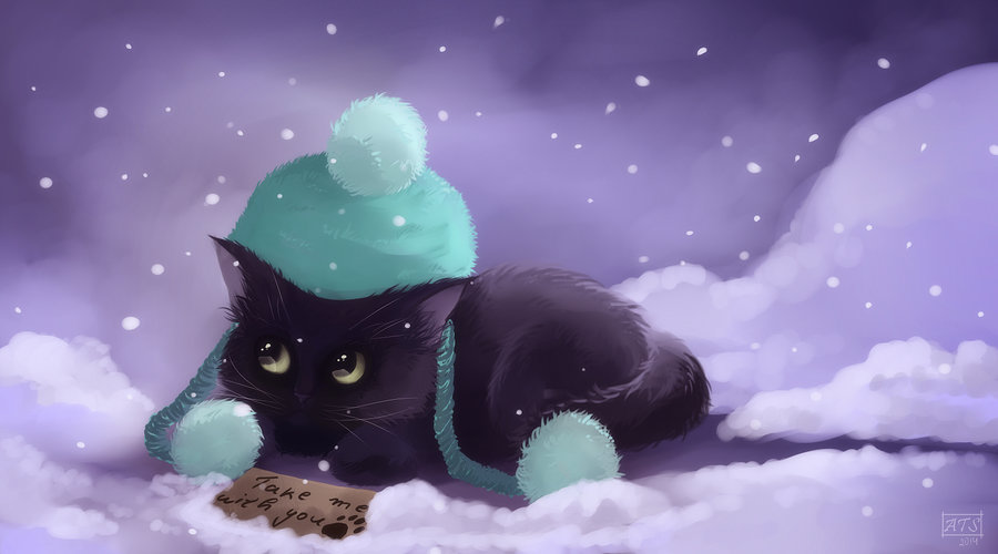 Фото Кошка в зеленой шапке под снегопадом, лежит у картонки с надписью (Take me wit you / Возьми меня с собой)