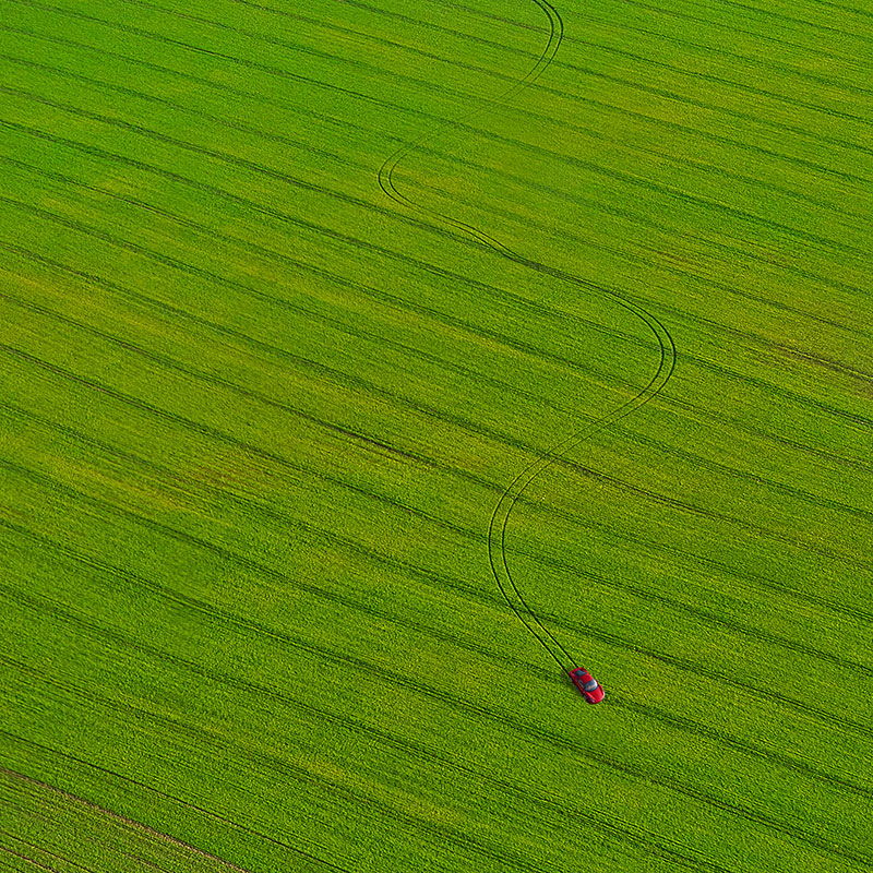 Фото Красный легковой автомобиль, едущий по зеленому полю, автор Сергей Костарев