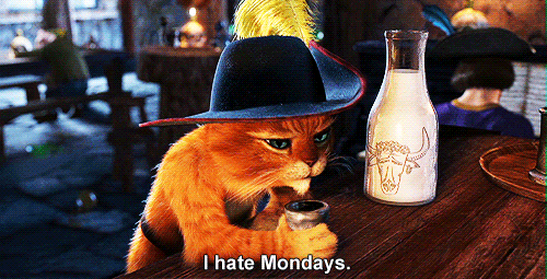 Фото Кот из мультфильма Шрек (Я ненавижу понедельники / I hate Mondays)