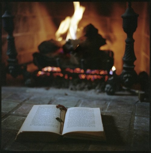 Фото Развернутая книга с засушенным цветком вместо закладки, лежит перед зажженым камином