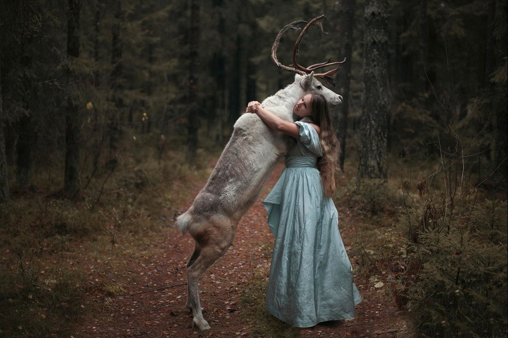 Фото Девушка с оленем обнимаются в лесу, фотограф Катерина Плотникова