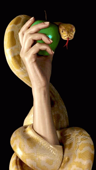 Фото Желтый удав обвил женскую руку держащую зеленое яблоко