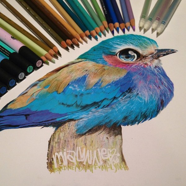 Фото Американская художница Карла Миалинн (Karla Mialynne), рисунок птички с разноцветным оперением сидящей на стволе дерева, с разложенными вокруг рисунка цветными карандашами и фломастерами