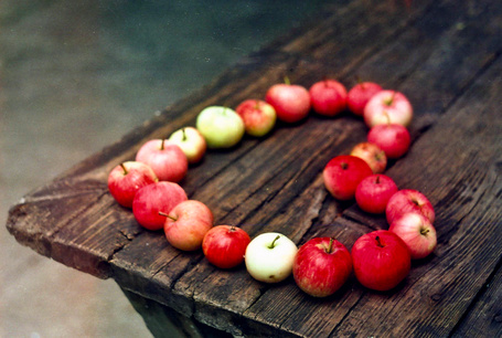Яблоко на столе бесконечное лето
