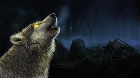 Фото Волк с желтыми глазами на фоне туманного леса и сломанной телеги из игры Shadow Wolf Mysteries / Призрачная Тень Волка