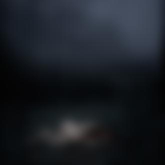 Фото Обнаженная девушка лежит на земле на фоне туманного и темного леса, фотограф Иван Владыкин