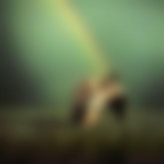 Фото Мужчина целует девушку в шею на фоне радуги в небе, фотограф Marina Stenko