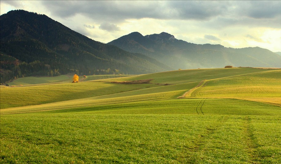 Фото Зеленые поля на фоне гор, by Peter Zibri&;k