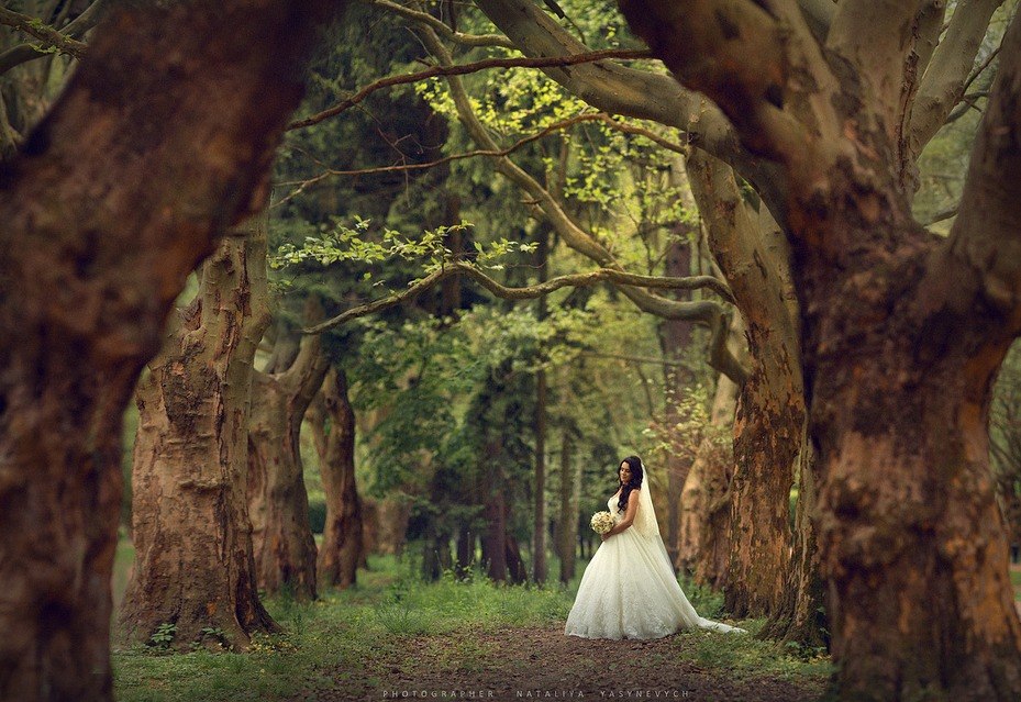 Фото Невеста в окружении деревьев, фотограф Наталя Ясиневич