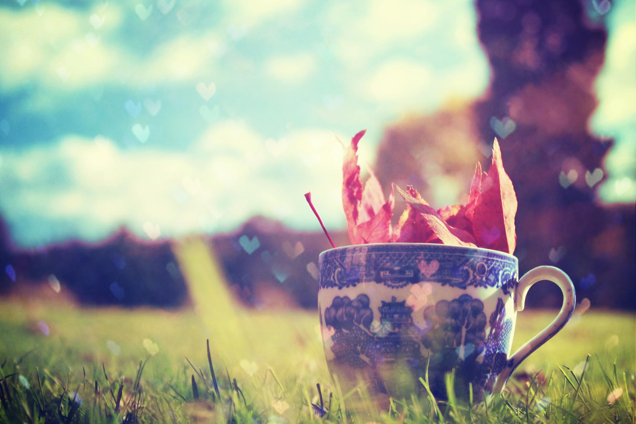 Фото Чашка с листом стоит на траве на фон природы, ву Nikita Gill