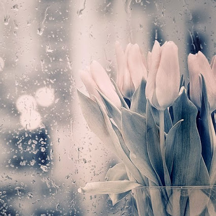 Фото Тюльпаны в вазе возле мокрого стекла