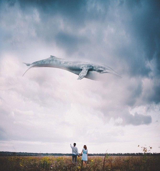 Фото Парень и девушка смотрят, как кит плывет по небу, фотограф Григорий Пузынин