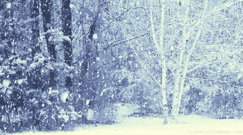  Снегопад в лесу