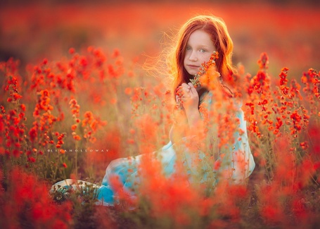 Фото Рыжеволосая девочка сидит в поле красных цветов, by Lisa Holloway