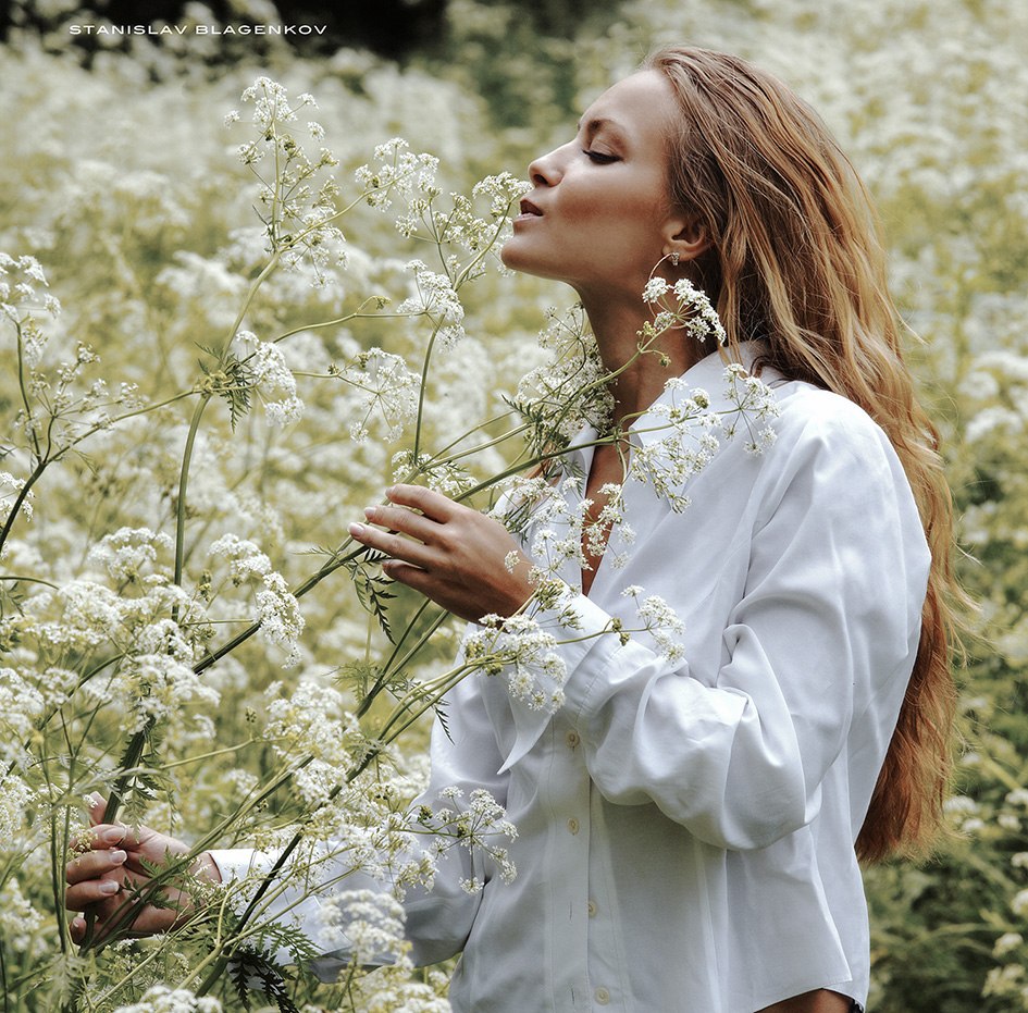  Девушка в полевых цветах, фотограф Станислав Блаженков