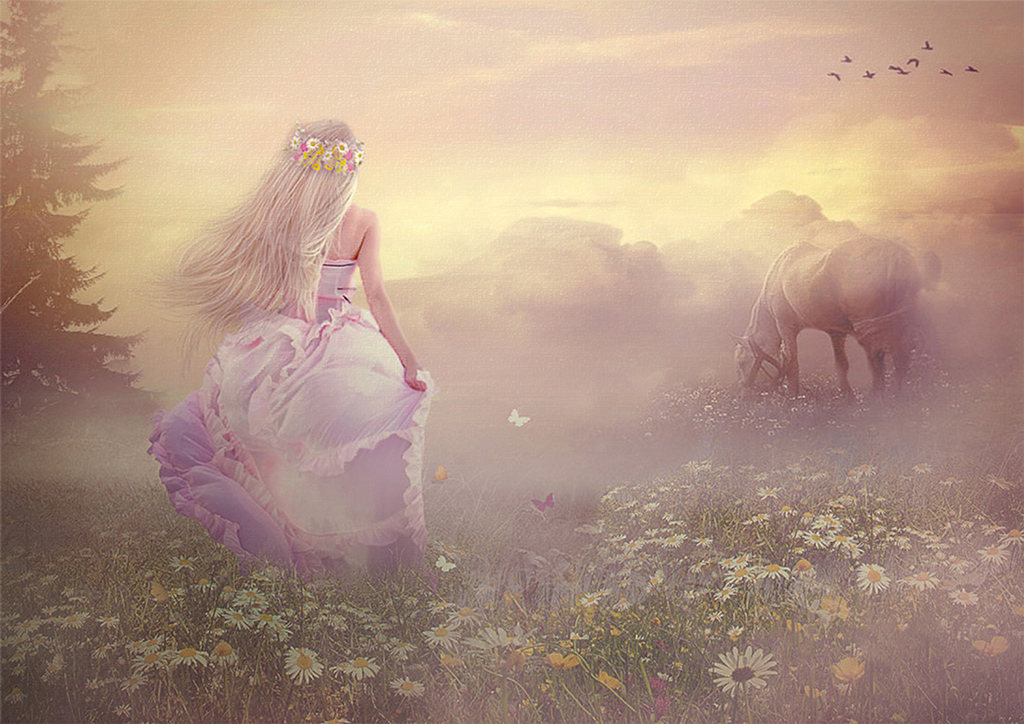 Фото Светловолосая девушка с венком из цветов на голове, одетая в пышное белое платье, идущая среди ромашек, порхающих бабочек к пасущейся невдалеке лошади на фоне заката на пасмурном небосклоне, парящих в небе птиц, автор Nataliorion
